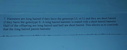 Solved 7 Hamsters Are Long Haired If They Have The Genot