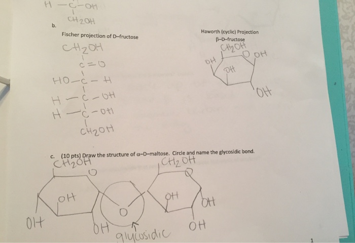 structure d-fructose cyclic Of D Haworth (cyclic Fischer fructose Projection Solved: