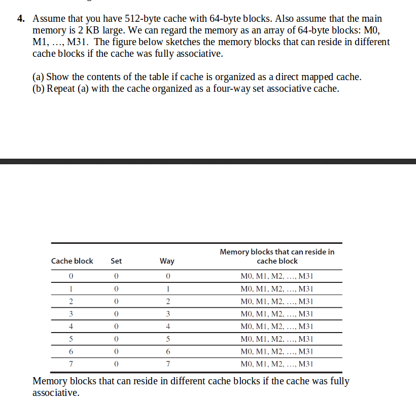 essay ielts sport vocab