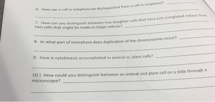 How Can A Cell In Telophase Be Distinguished From A Chegg Com