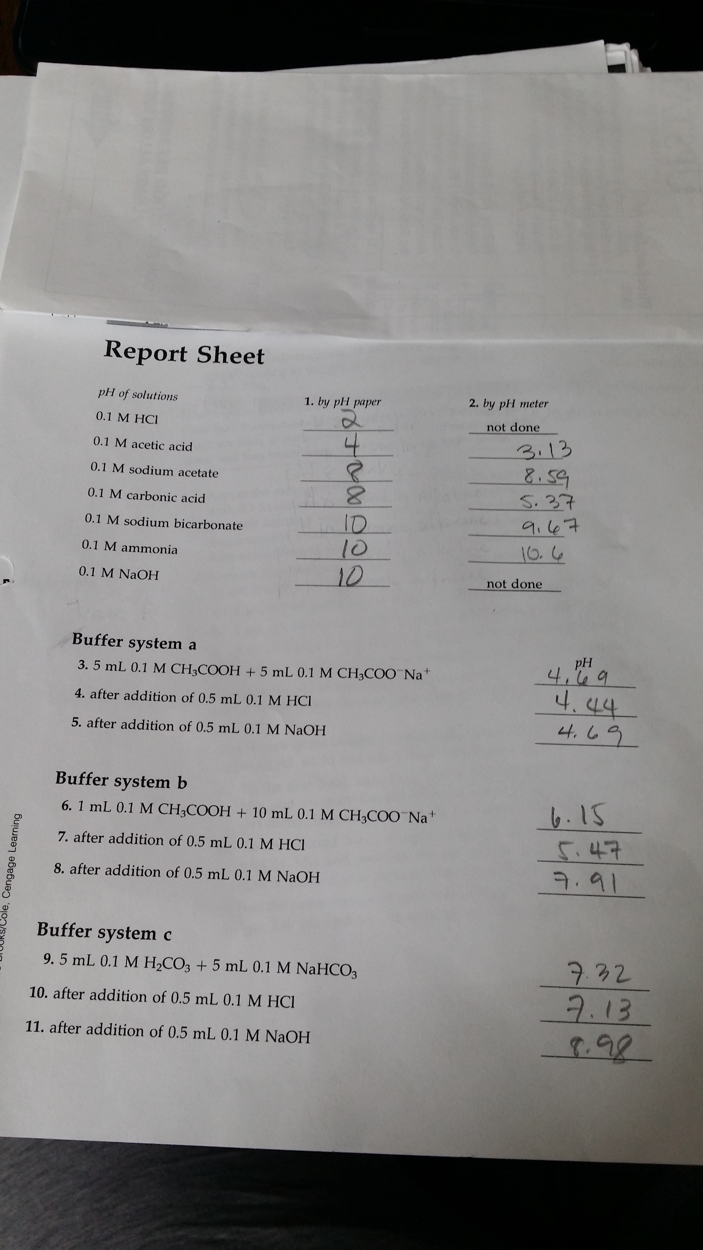 Sodium diacetate picture