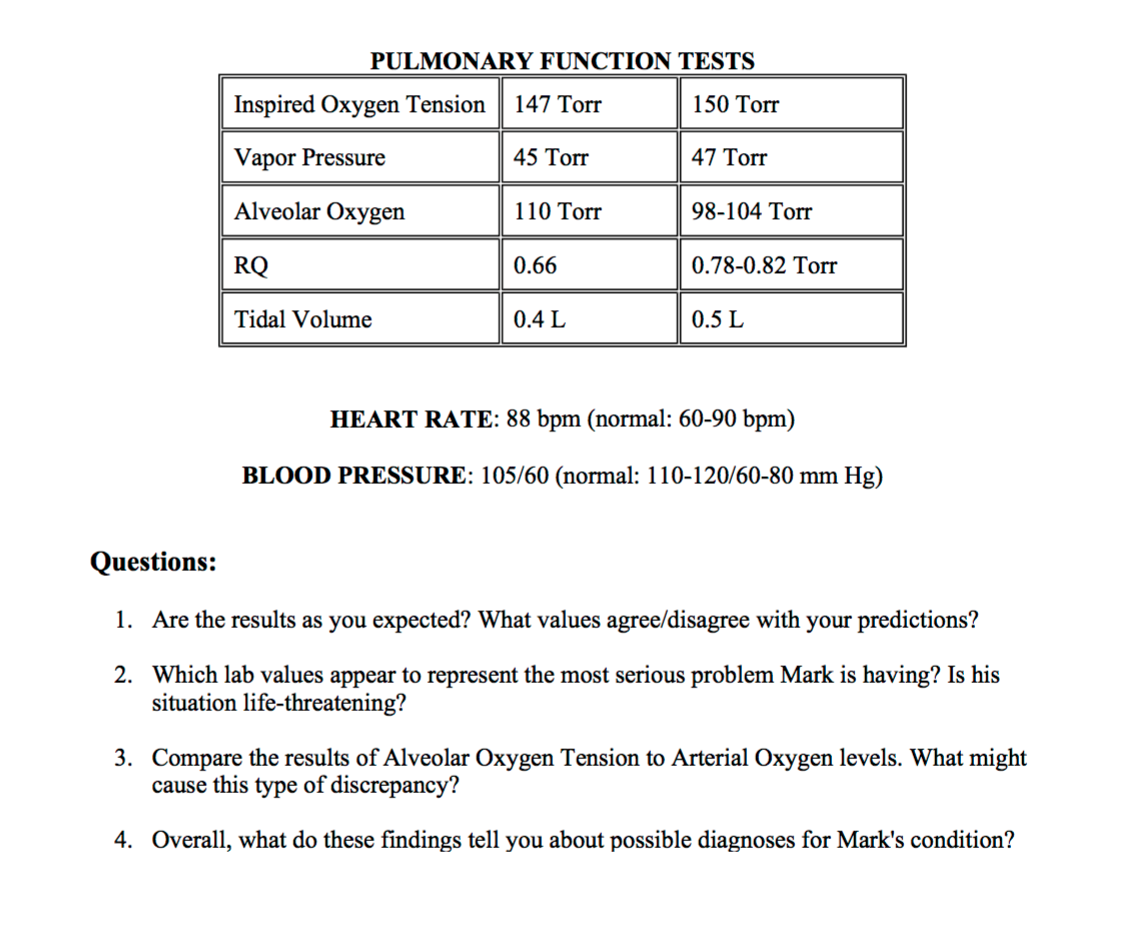 Into thin air case study answers picture
