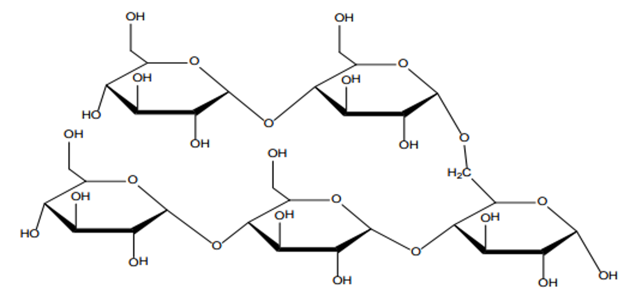polysaccharides glycogen