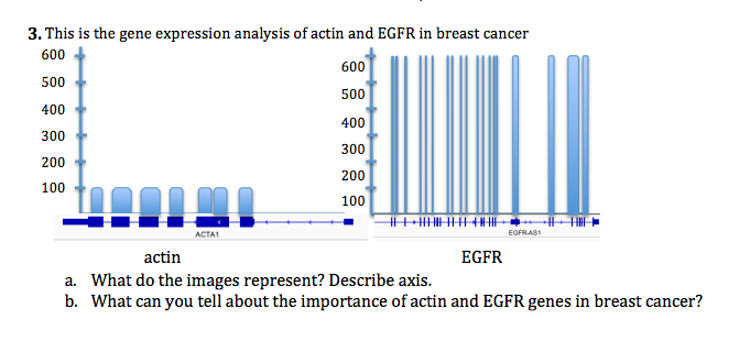 Question: This is the gene expression analysis of actin and EGFR in breast cancer  What do the images repre...