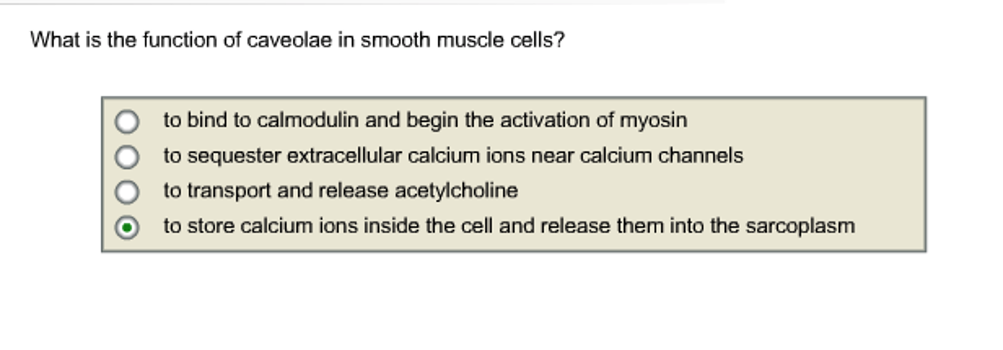 Solved What Is The Function Of Caveolae In Smooth Muscle Chegg Com