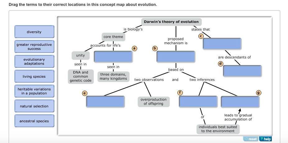 Drag The Terms To Their Correct Locations In This Concept Map About Evolution. Solved: Drag The Terms To Their Correct Locations In This 