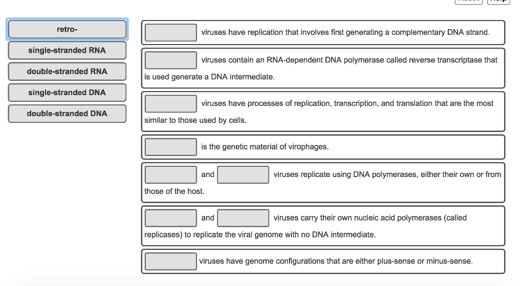 Retro Single Stranded Rna Double Stranded Rna Chegg Com