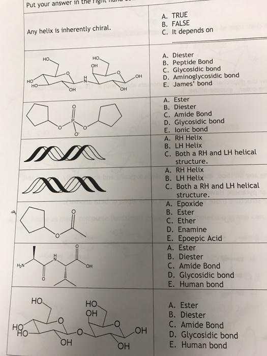 Solved Put Your Answer In U The Riglit A True B False A Chegg Com