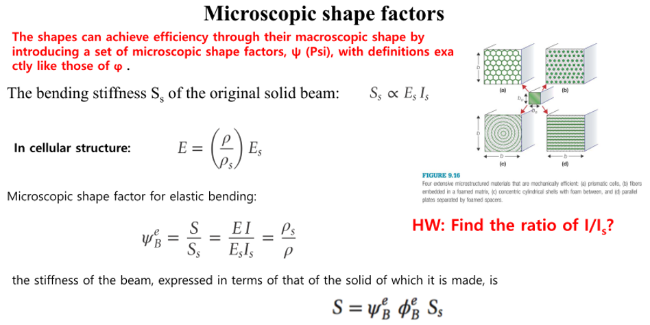 Solved Microscopic shape factors The shapes can achieve