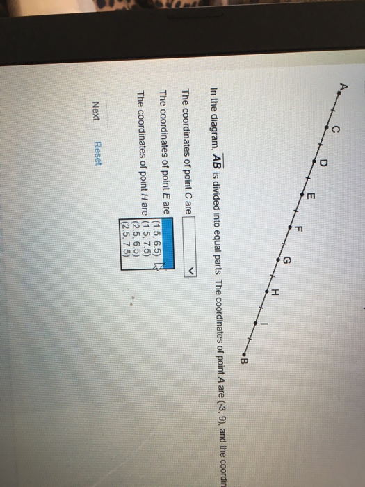 Solved: PLATO Course Geometry, Semester B V4.0> End Of Sem ...