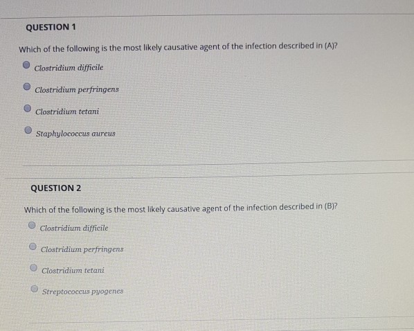 Infectious disease society of america image
