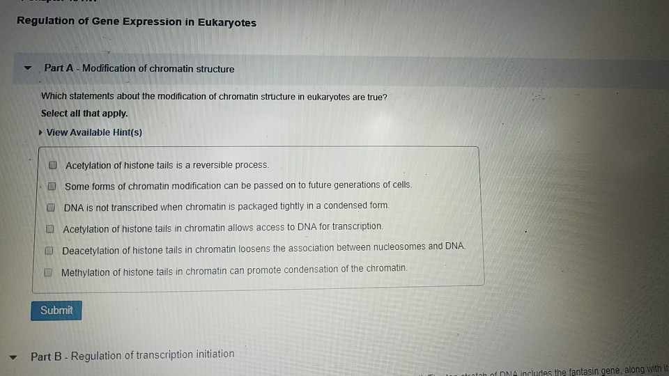 Solved: Regulation Of Gene Expression In Eukaryotes Part A ...