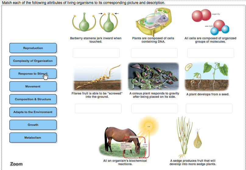 2-1-1-characteristics-of-living-things-youtube