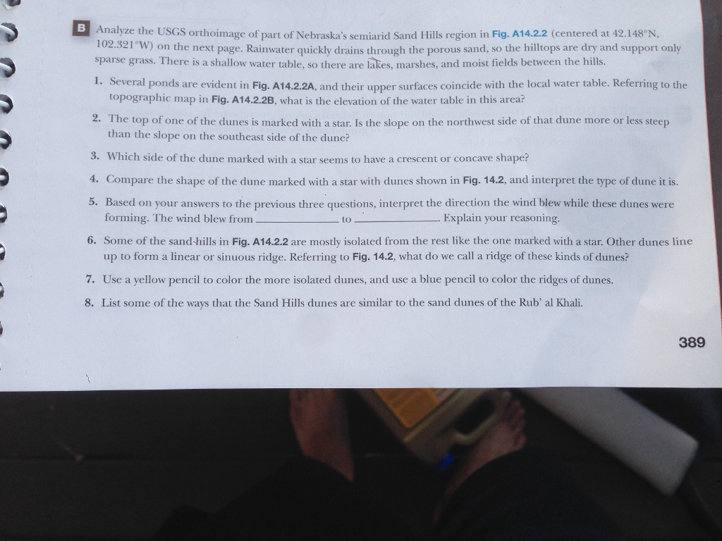 essay about animals healthy lifestyle free