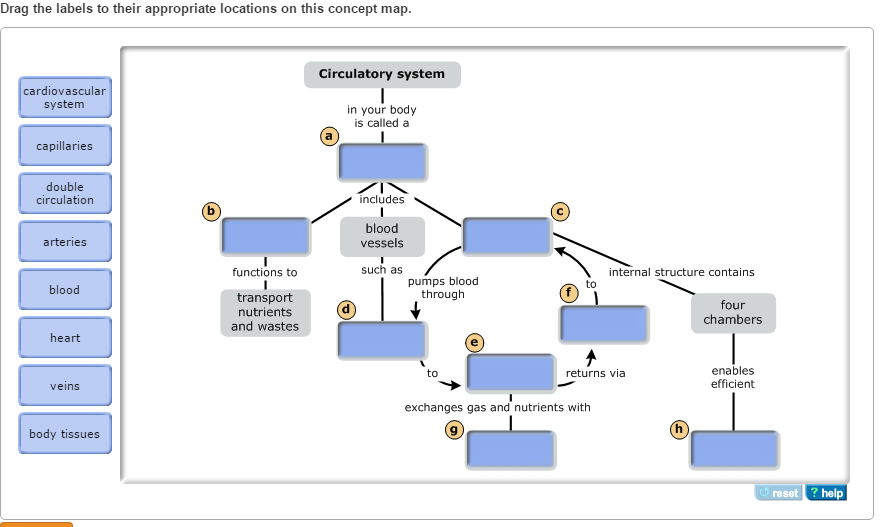 drag the labels to the appropriate locations in this concept map Solved Drag The Labels To Their Appropriate Locations On drag the labels to the appropriate locations in this concept map