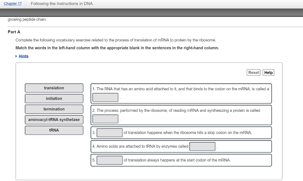 Solved Chapter 17 Following The Instructions In Dna Growing Chegg Com