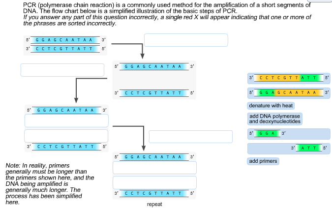 Flow Chart Of The Three Main Steps Of Pcr