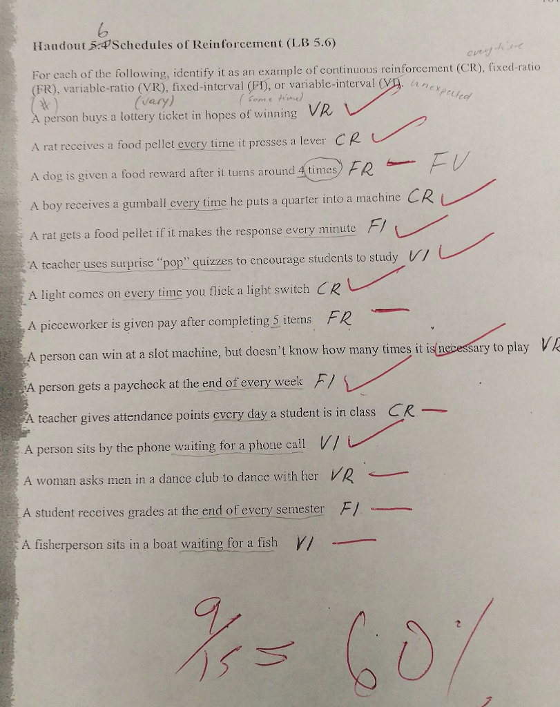 Solved 24 Handout,q)Schedules of Reinforcement (LB 24.24) Cue  Chegg.com With Regard To Schedules Of Reinforcement Worksheet