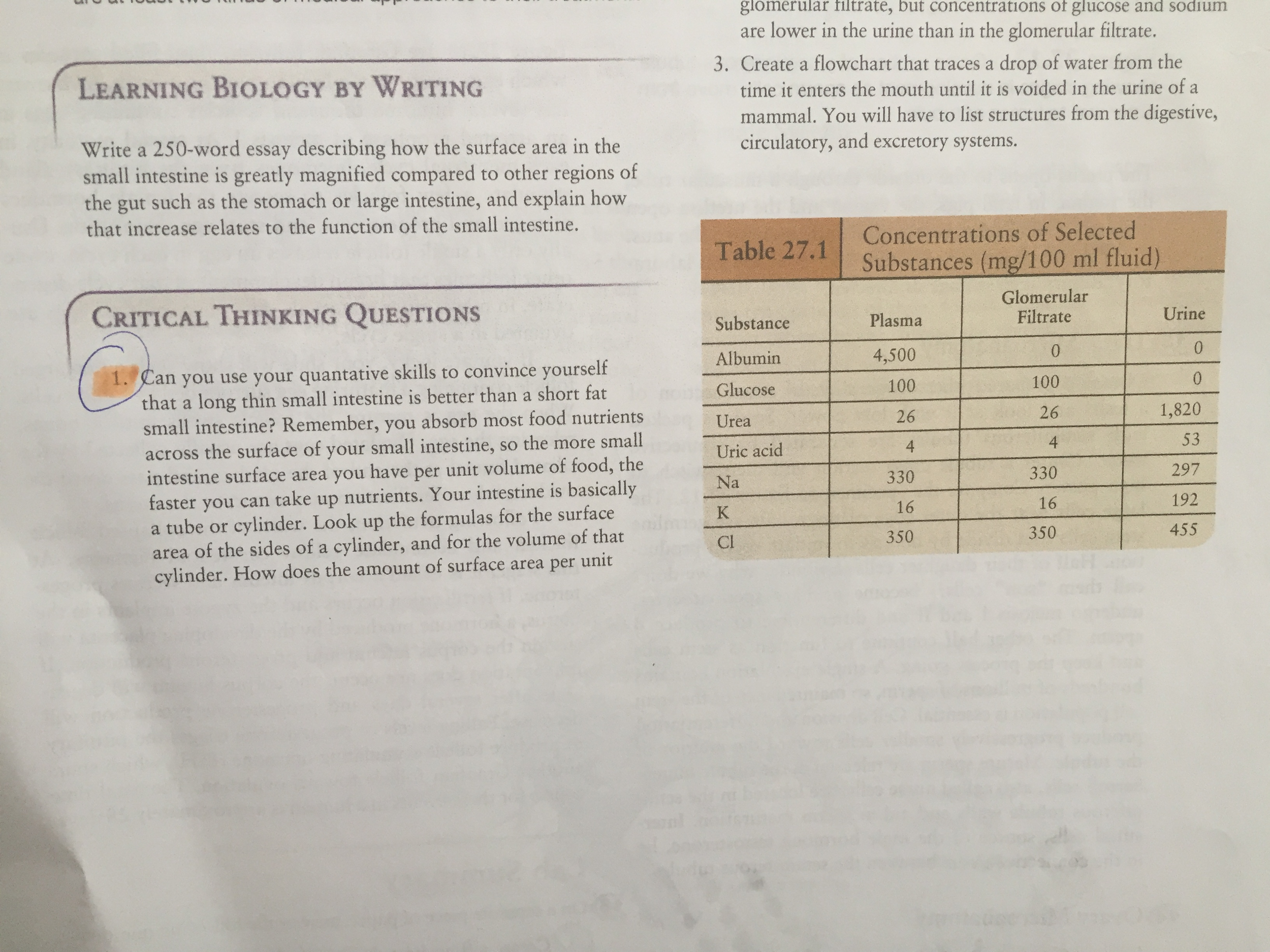 Write A 250-word Essay Describing How The Surface ...