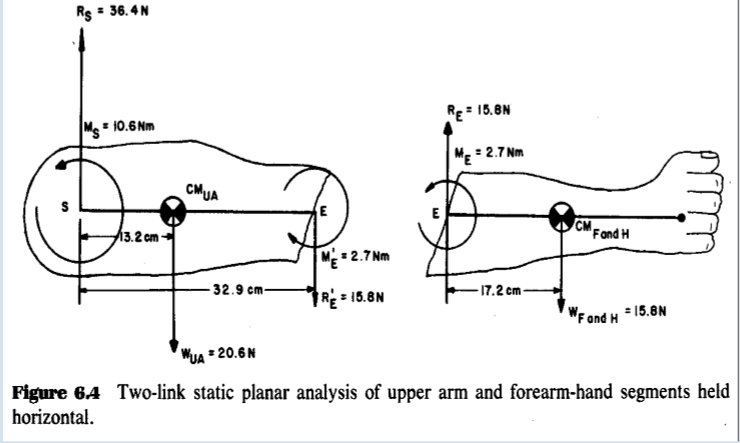 Figure E1: A conceptualised body segment model for the batting