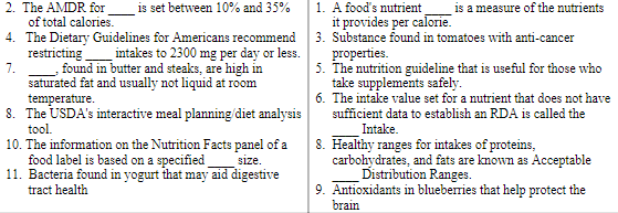 A Guide to Counting Calories – True Protein