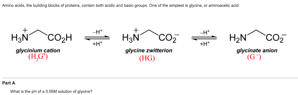 solved amino acids the building blocks of proteins cont the building blocks of proteins are