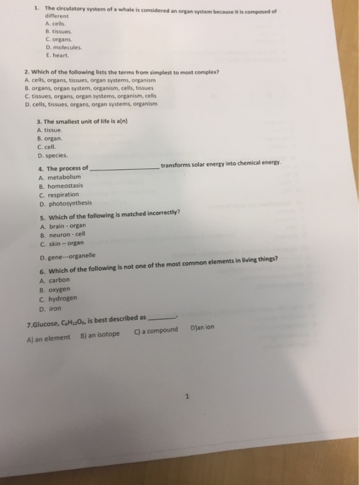 Solved 1 The Circulatory System Of A Whale Is Considered An Chegg Com