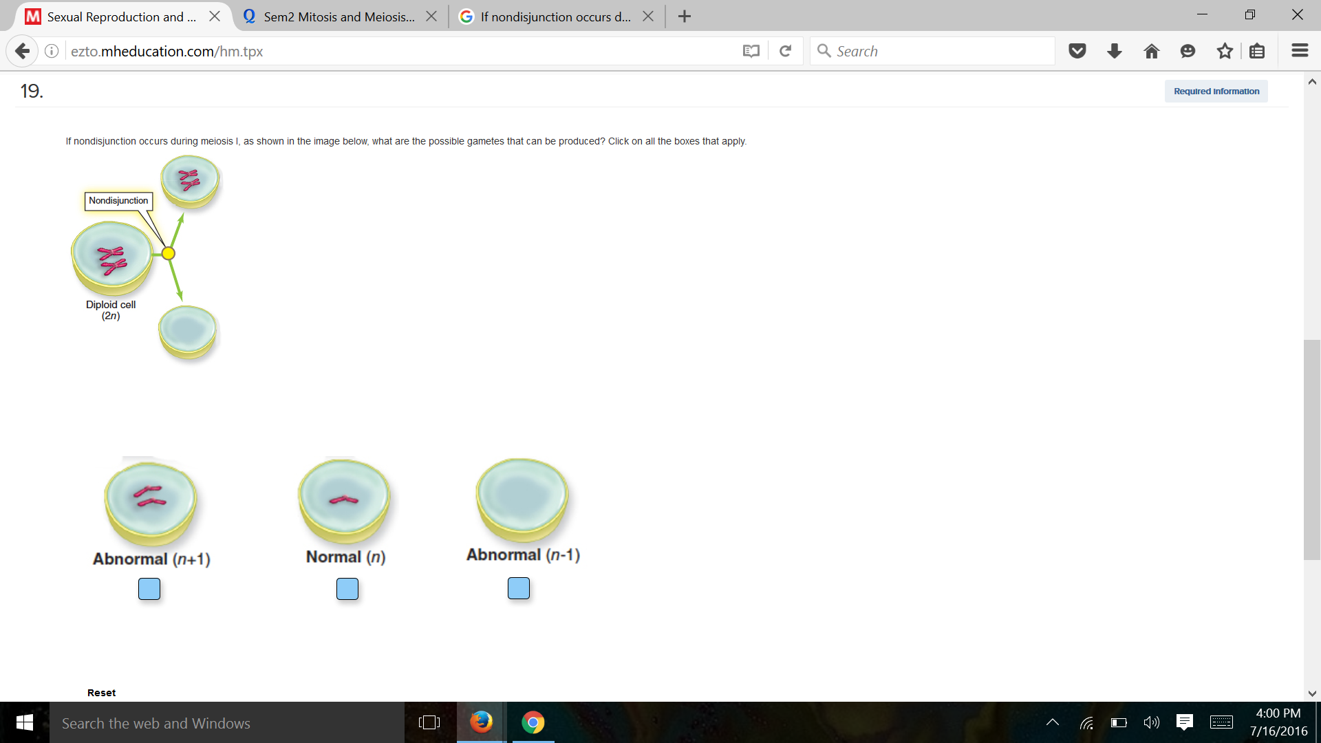 Solved If Nondisjunction Occurs During Meiosis I, As Show