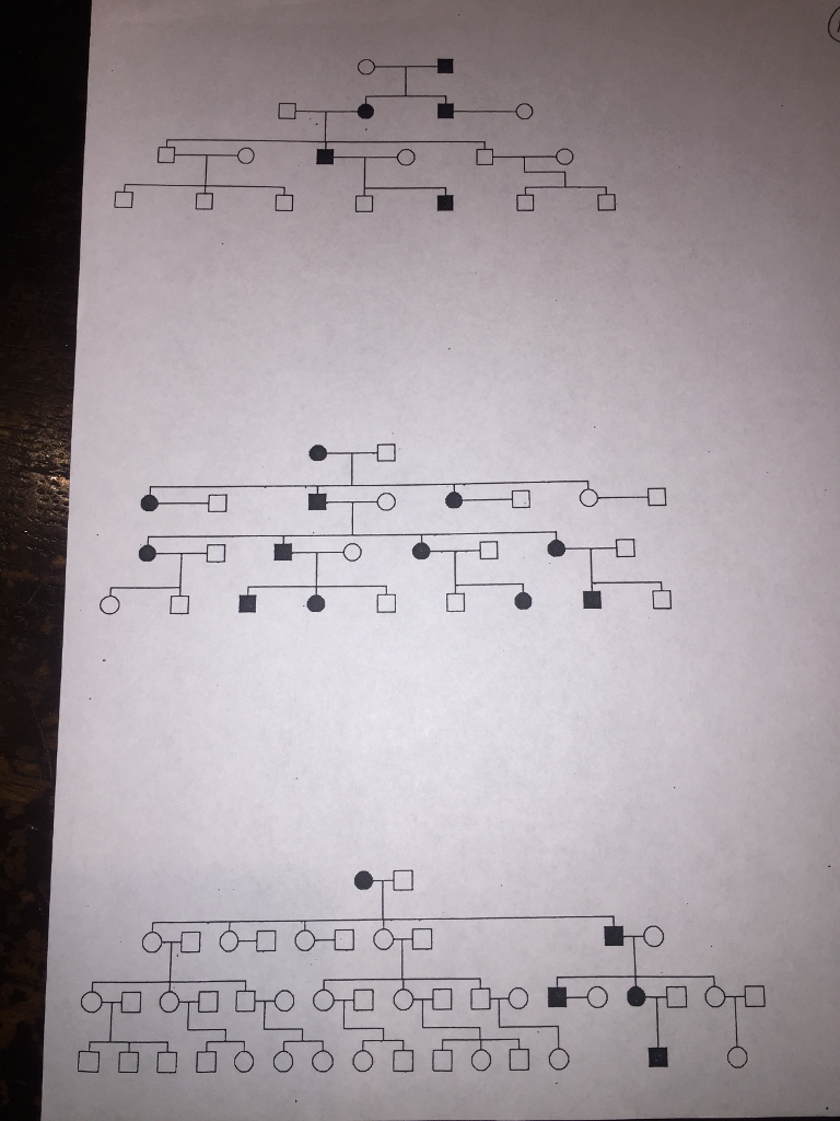 Please help me figure it out, There are only categories BC rights And what do I need to work on this loader Please help me figure it out, There are only categories BC rights And what do I need to work on this loader
