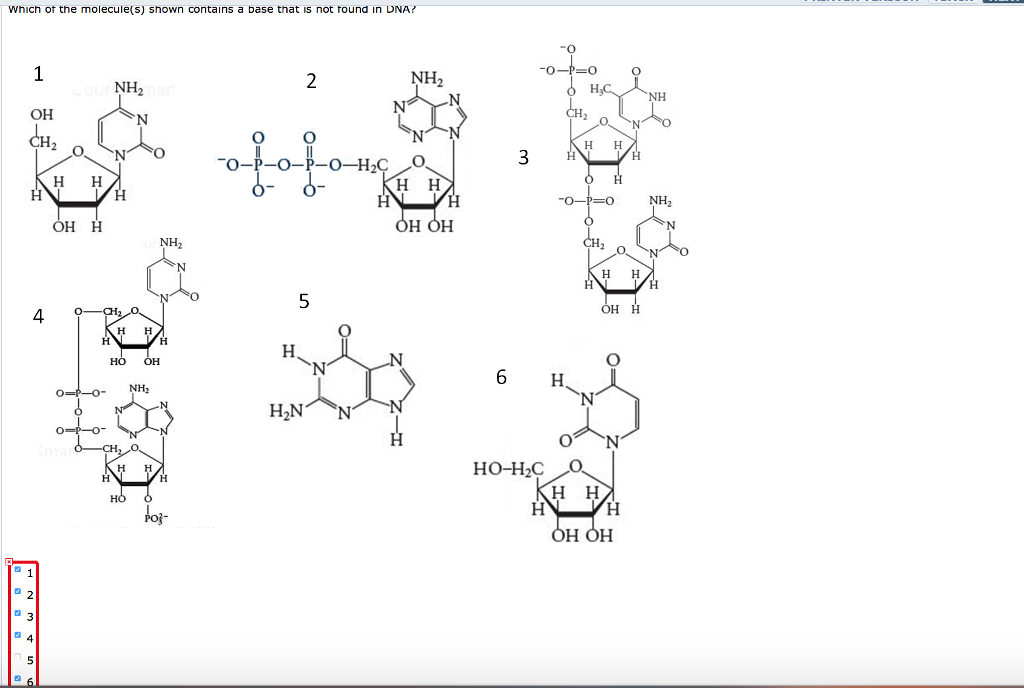 Solved Which Ot The Molecule S Shown Contains A Base Tna Chegg Com