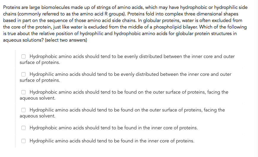 hydrophobic amino acids in a protein hydrophobic amino acids in a protein