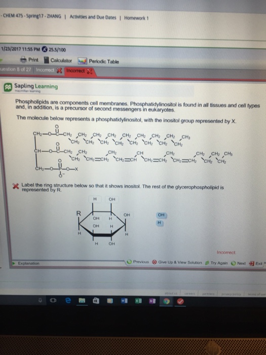 Solved - ZHANG) Activities and Due Dates Chapter 17 Homework