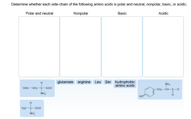hydrophobic amino acids and neutral polar amino acids hydrophobic amino acids and neutral polar amino acids
