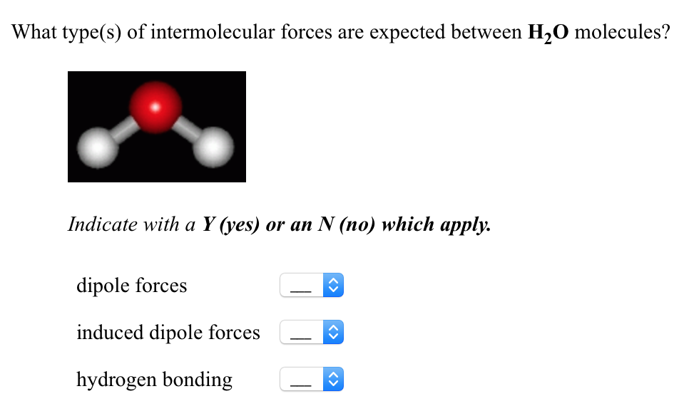 Solved What Type(s) Of Intermolecular Forces Are Expected