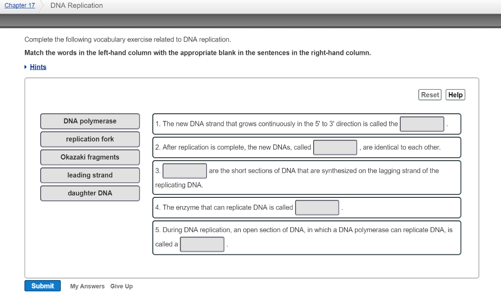 Solved Chapter 17 Dna Replication Complete The Following Chegg Com