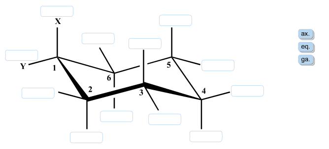 Given a cyclohexane framework in a chair conformat