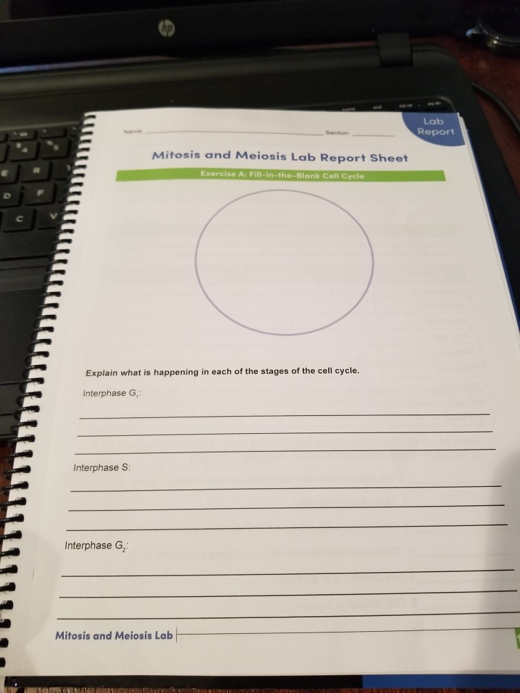 Solved: Meiosis Report Report Mitosis Lab ... Lab R And Sheet