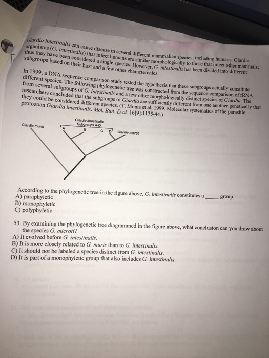 1Z0-106 Prüfungsaufgaben