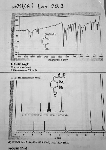 Solved P679 661) Lab 20.2 10 NH2 46 4000 3600 3200 2800 2400 | Chegg.com