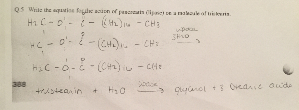 Solution definition math picture