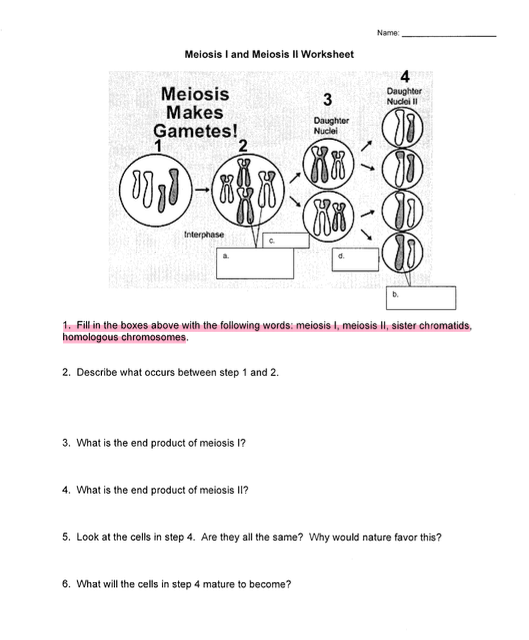 Fill in the boxes above with the following words: | Chegg.com