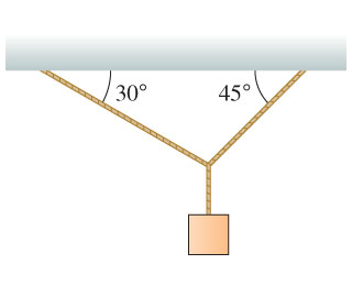 Solved: 1. The Three Ropes In The Figure Are Tied To A Sma... | Chegg.com
