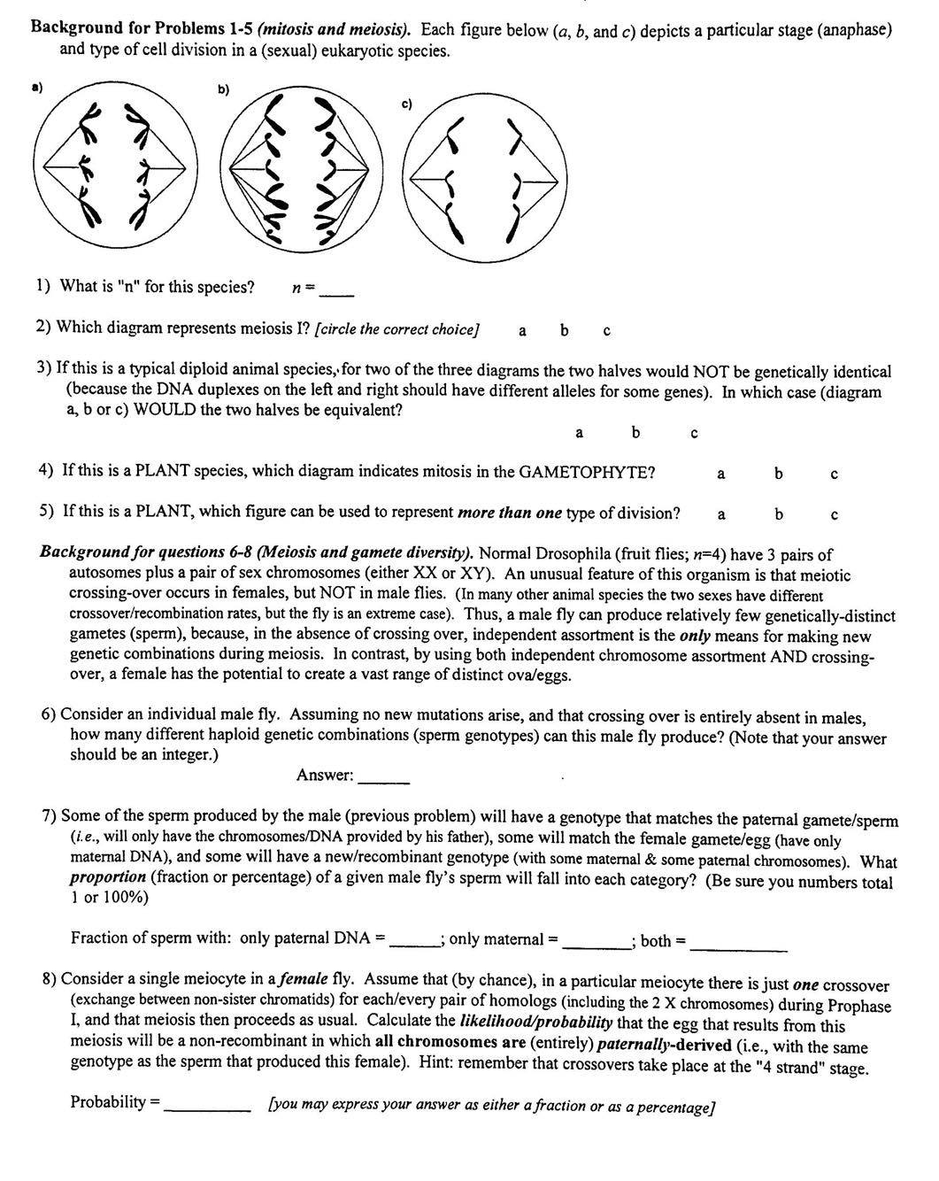 Solved: Background For Problems 1-5 (mitosis And Meiosis ...