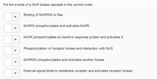 Solved Put The Events Of A MAP Kinase Cascade In The Correct Chegg Com   PhpHTcRpr 