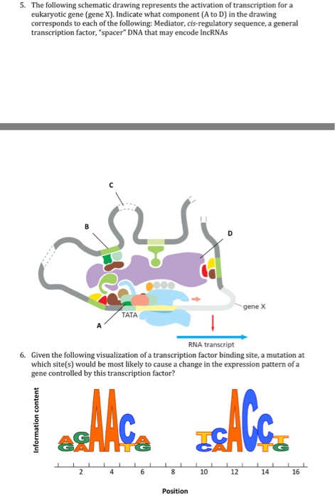 Solved The Following Schematic Drawing Represents The | Chegg.com