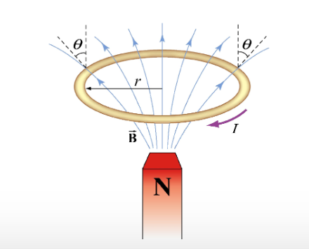 Solved A horizontal, circular loop carries current I in the | Chegg.com