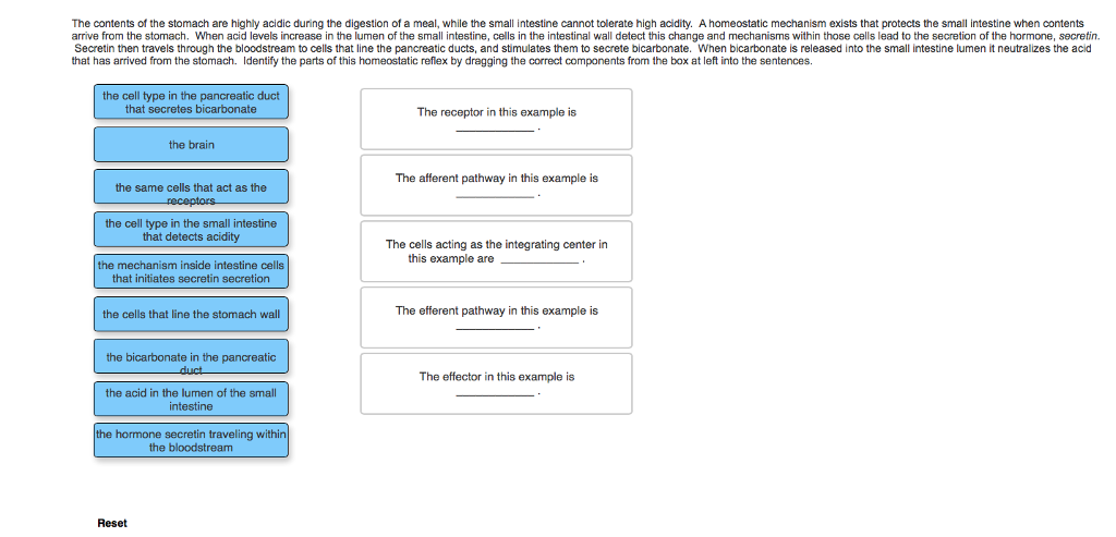 Solved The contents of the stomach are highly acidic during | Chegg.com