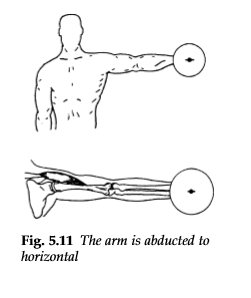 Solved Fig. 5.11 The arm is abducted to horizontal | Chegg.com