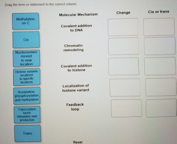 Solved Drag the term or statement to the correct column | Chegg.com