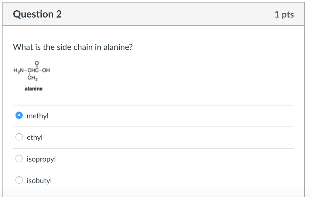 solved-question-2-1-pts-what-is-the-side-chain-in-alanine-chegg